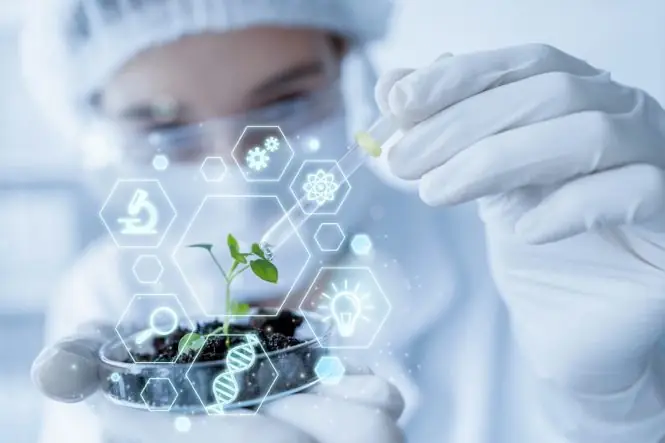 Scientist in protective gear examining a seedling